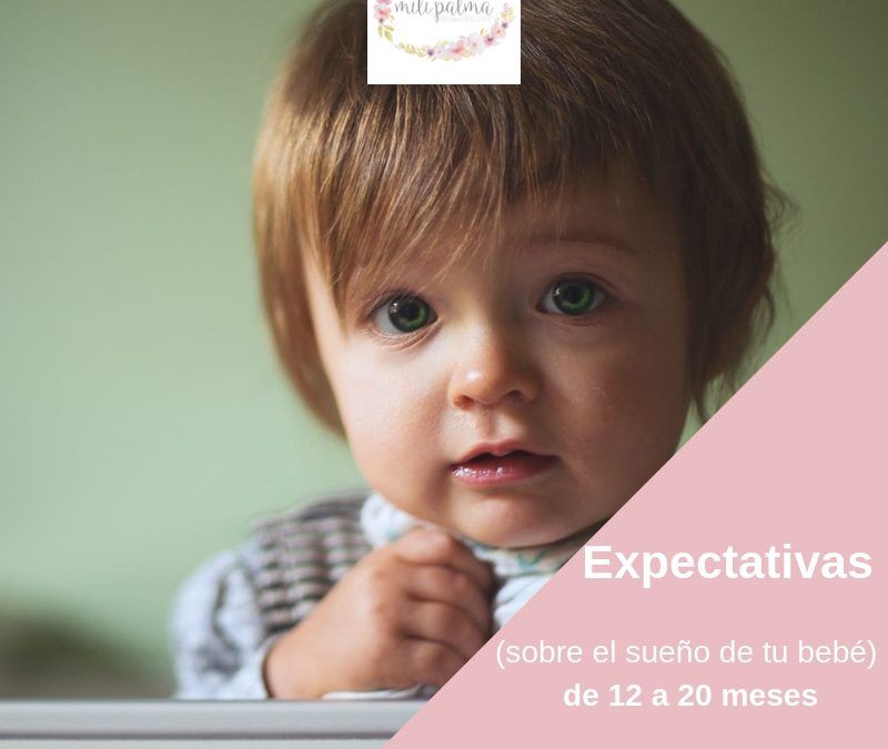 Expectativas ( Reales) sobre el Sueño de tu bebé de 12 a 20 meses – Parte II
