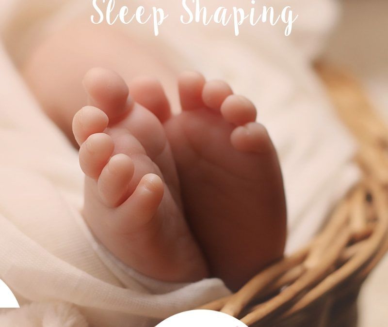 Protegido: Sleep Shaping – Una etapa para observar y formar.